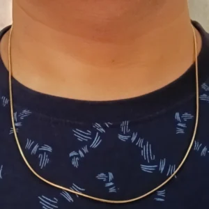 Flexible Gold-Tone Sleek Chain for Men