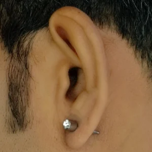 Men’s Fake Gauge Stud Earrings